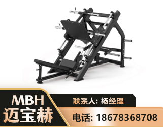 邢台45°倒蹬训练器