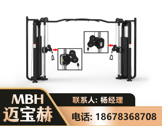 邢台大飞鸟训练器