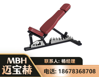 邢台可调哑铃椅